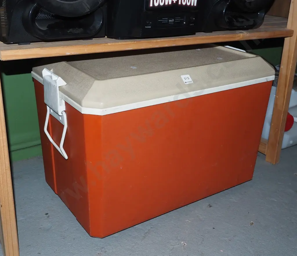 chilly bin Image 1++