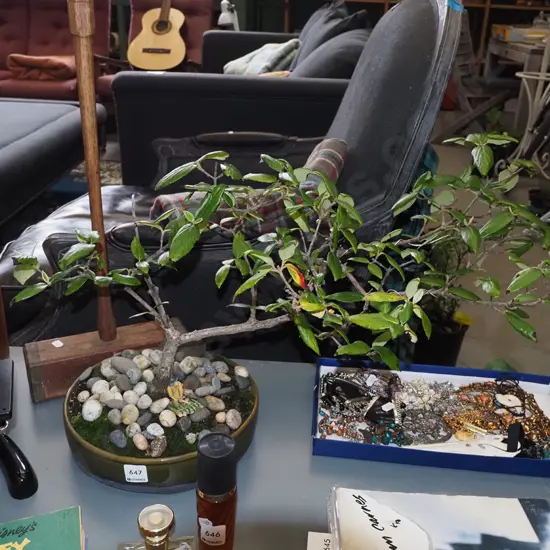 potted bonsai - Total H400 W700