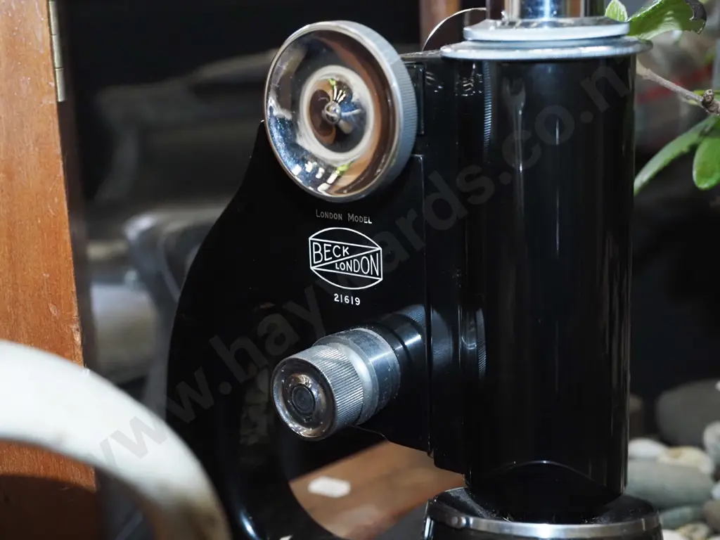 wood cased Beck of London microscope Image 1++