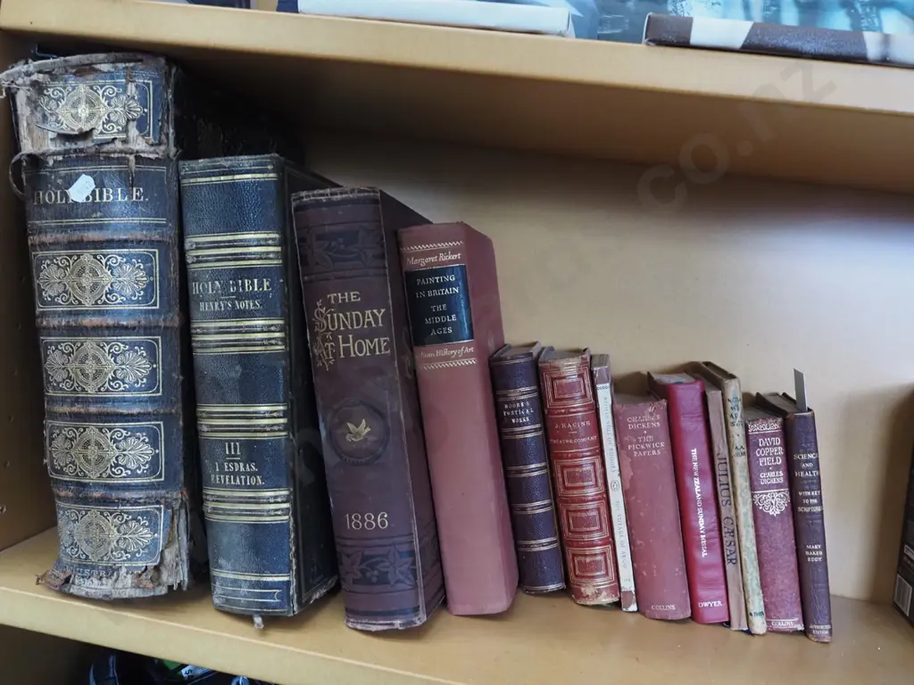 shelf; bibles, David Copperfield etc Image 1++
