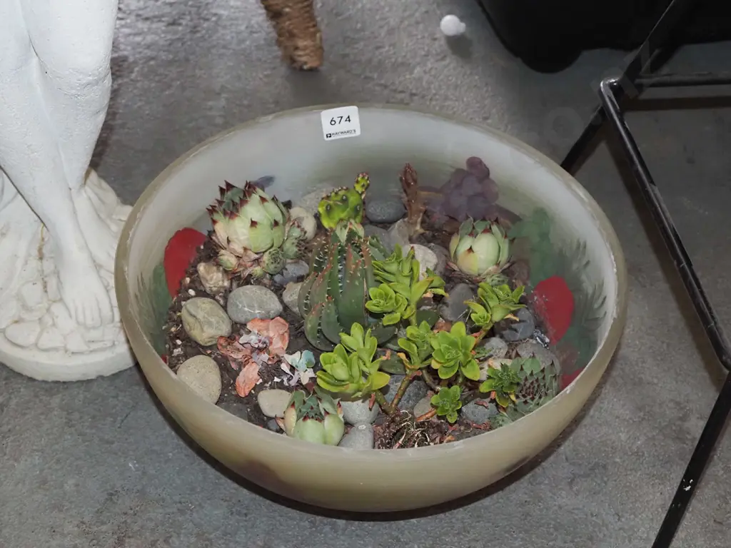 glass bowl, succulents Image 1++