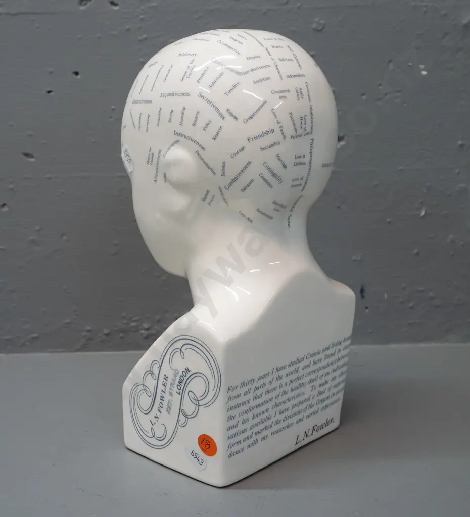 porcelain phrenology head figure - see photos for detail. H-265 W-120 Image 1++