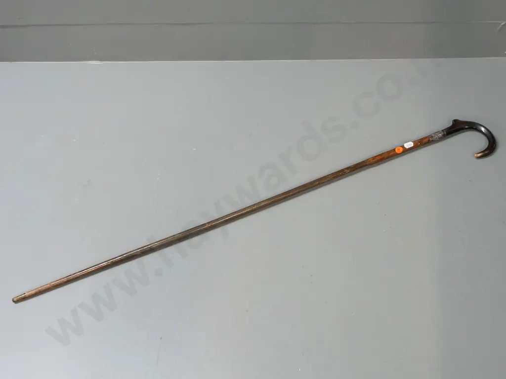 walking cane with horn handle and silver (maybe sterling?) band and brass ferrule - has a short loss or gouge L-910 Image 1++