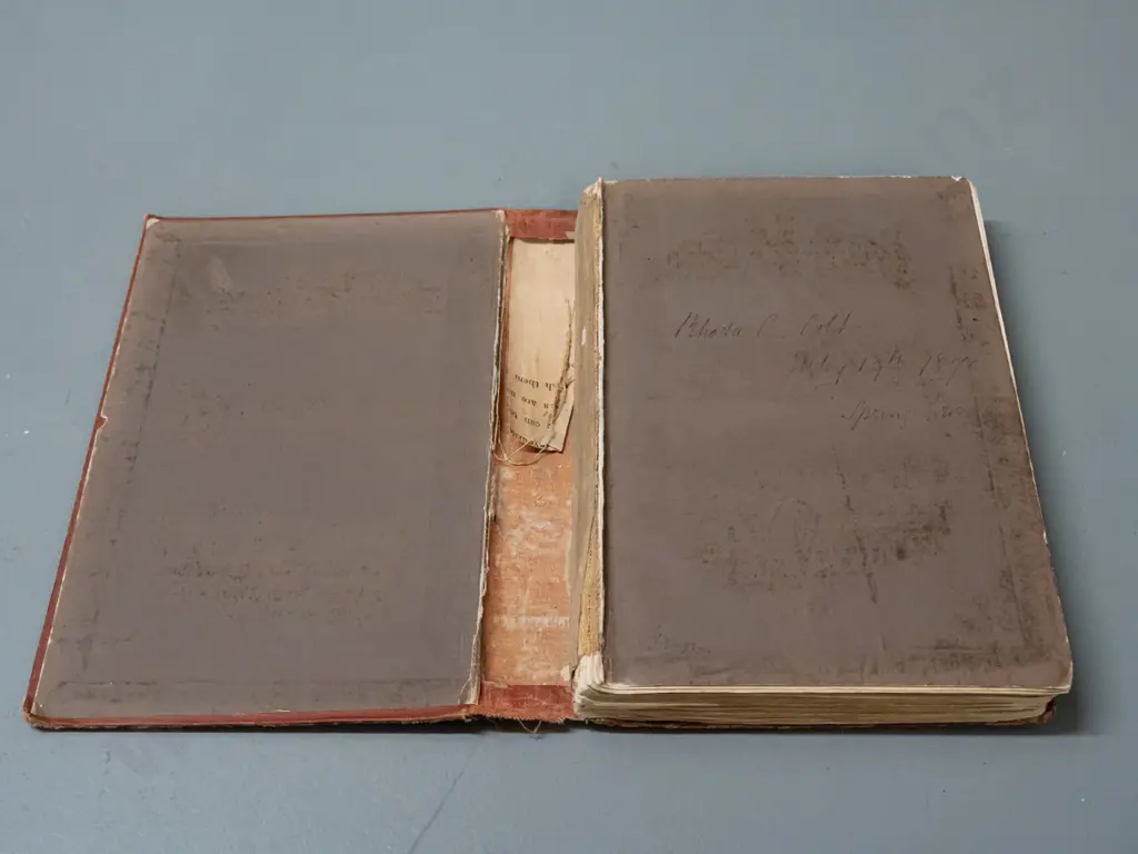 vintage book - Erewhon - Samuel Butler - 1873 edition. Damage to binding, foxing. Image 1++