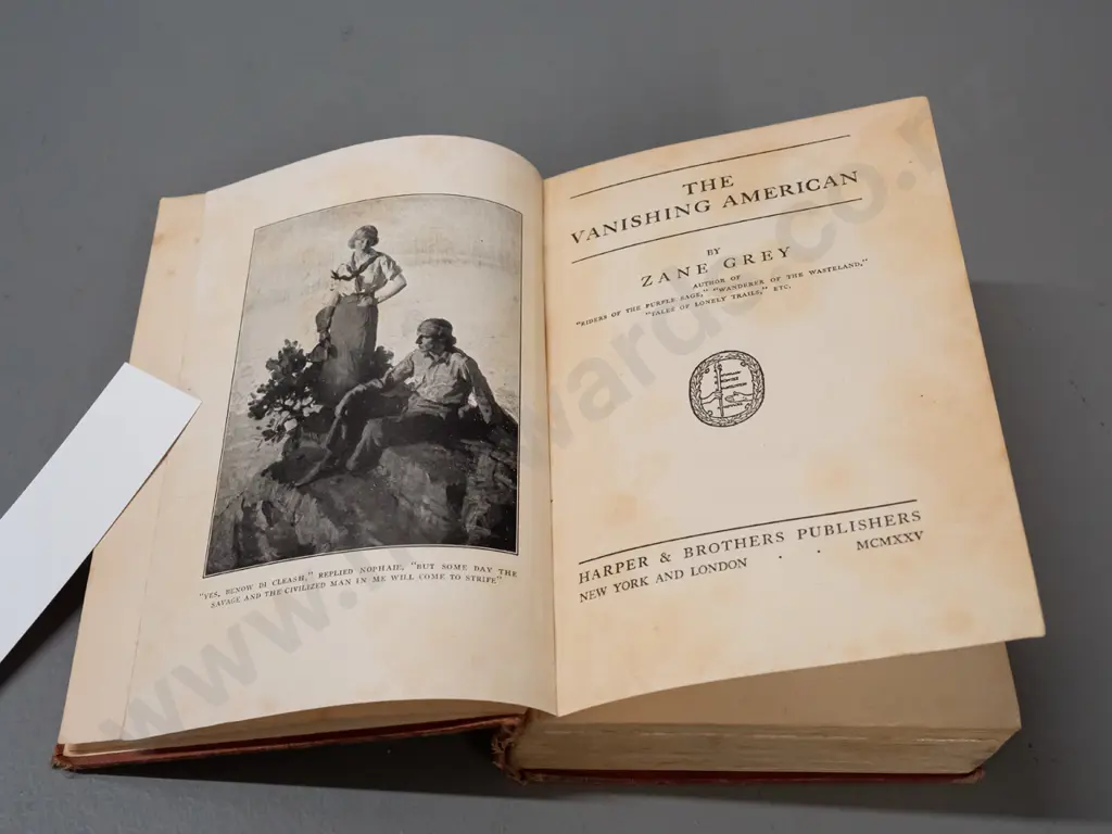 Zane Grey - The Vanishing American - 1925 first edition, some damage and discolouration Image 1++