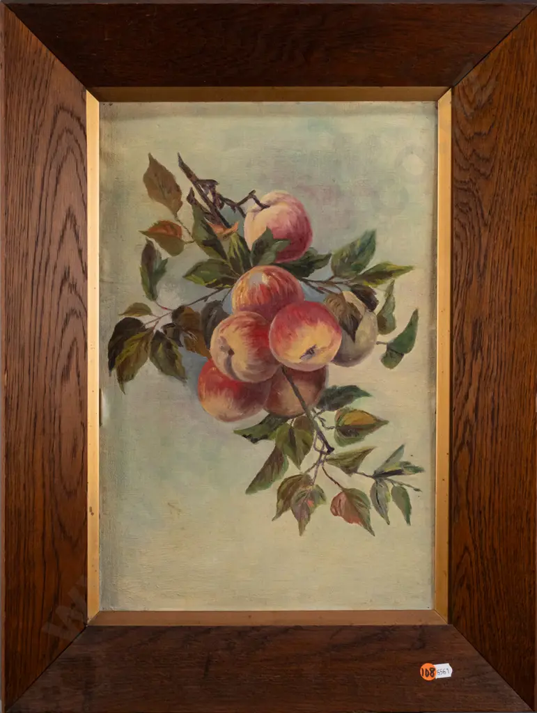 framed oil on board - apples H440 W290 Image 1++