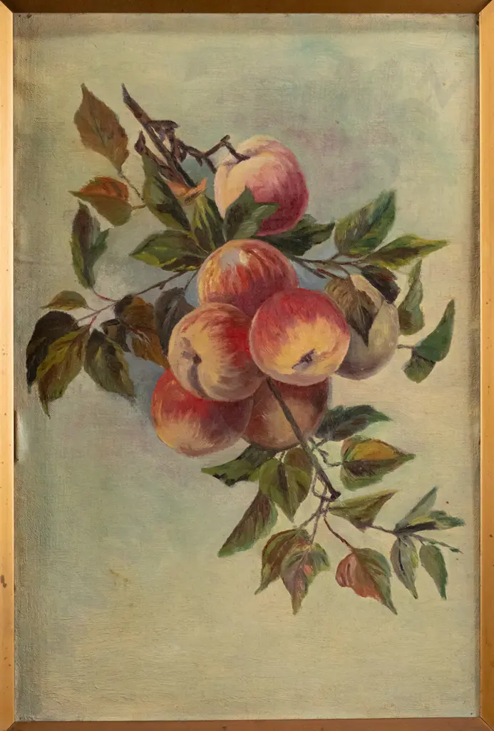 framed oil on board - apples H440 W290 Image 1++