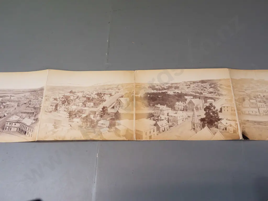 vintage hard cover folio-bound photographic Panorama of Dunedin - 1879 Walter J. Burton. Photos have uneven fading, wear Image 1++