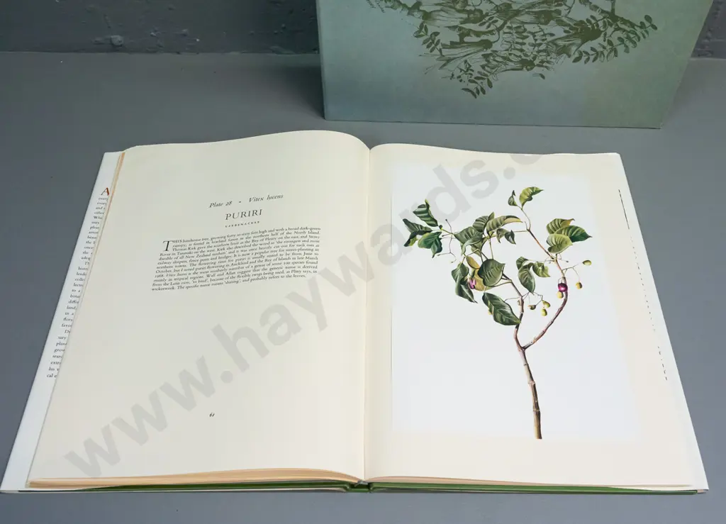slip-cased book - New Zealand Botanical Paintings - Norman Harvey (artist) and E.J. Godley (text) 1969 Image 1++