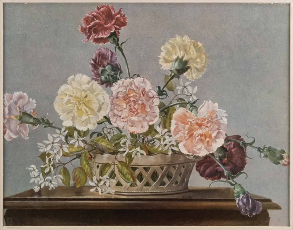 framed print - still life flowers H225 W285 Image 1++