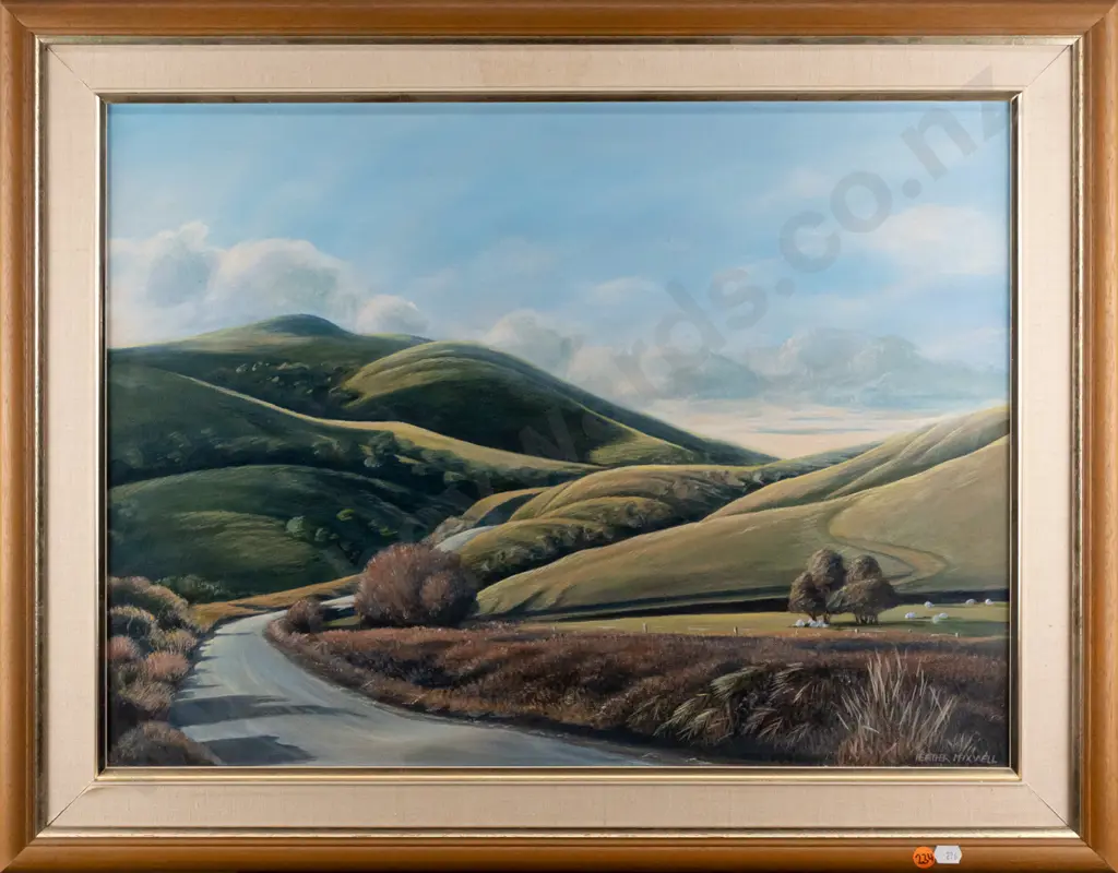 Heather Maxwell - framed acrylic "The Hills of Glenomaru - Catlins" H440 W590 Image 1++