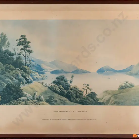 framed historic Dunedin print  H275 W460 (fading, foxing)