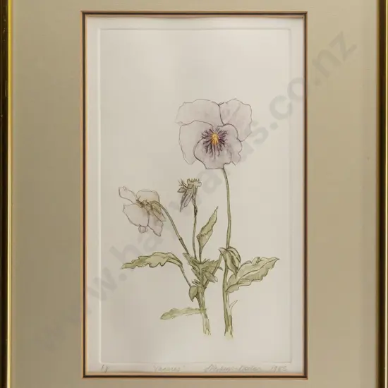 S Perkins-Norton 1985 - framed AP "Pansies" H250 W140 (slight warping)