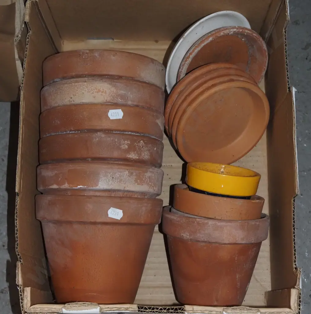 box; small terracotta planters Image 1++