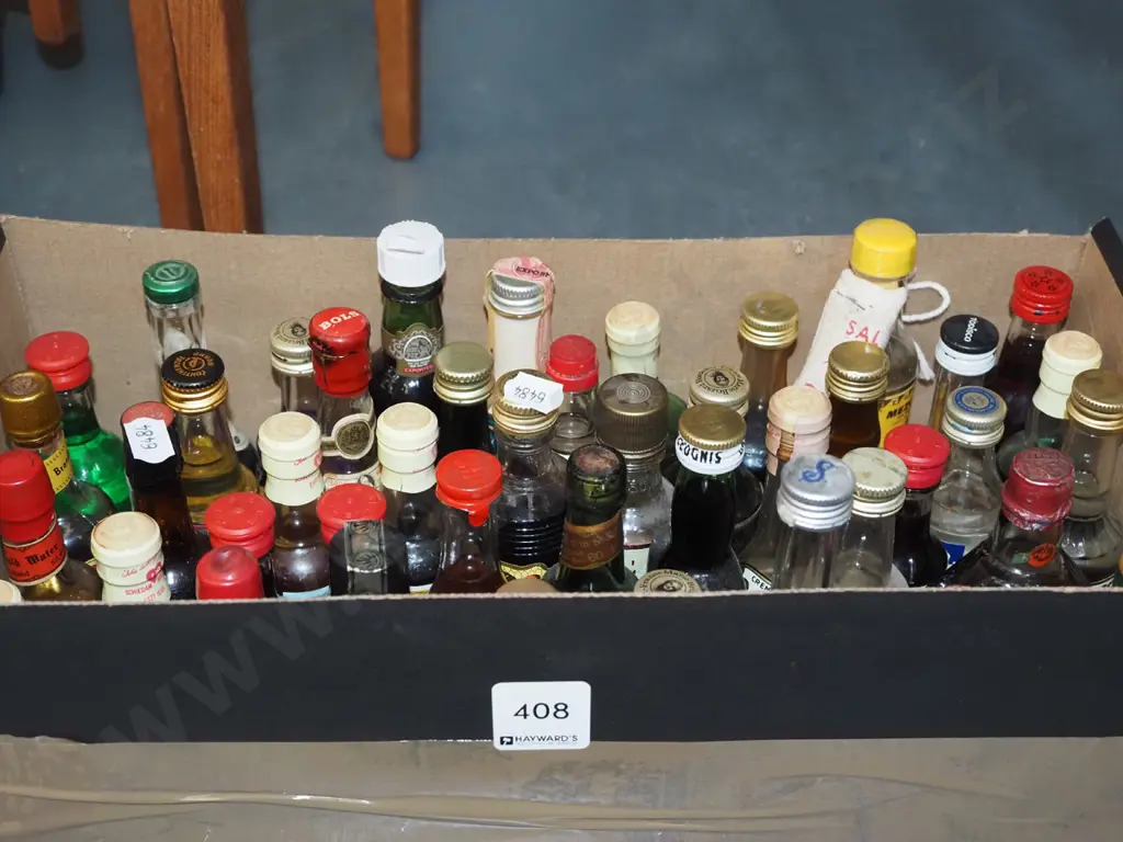 box of spirit miniatures Image 1++