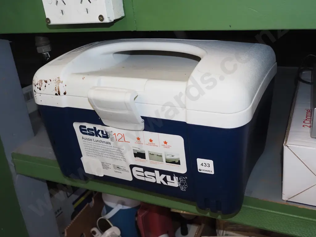 12L Esky chilly bin- needs a clean Image 1++