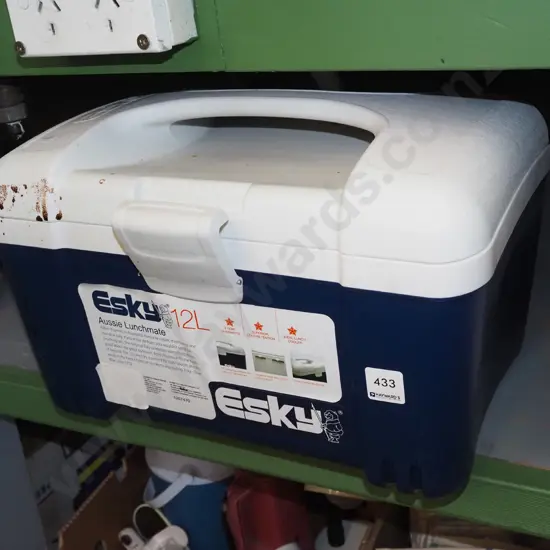 12L Esky chilly bin- needs a clean