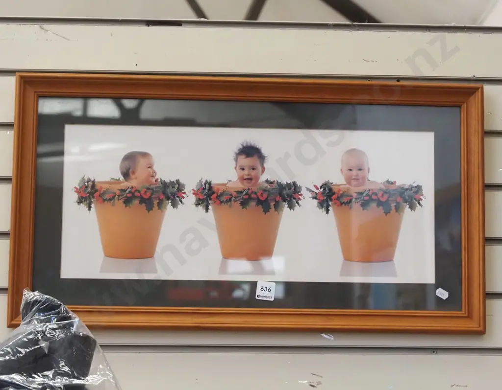 framed photo print - babies in planters Image 1++