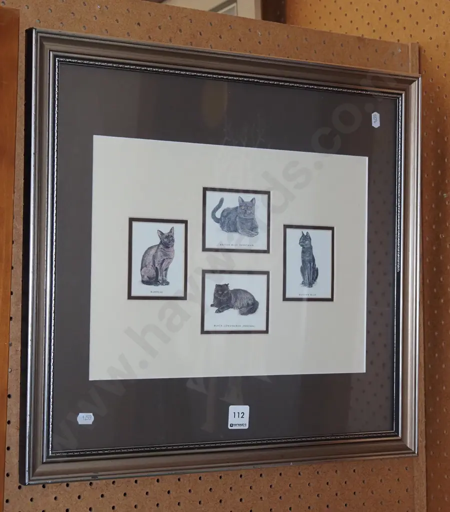 framed print - cats Image 1++