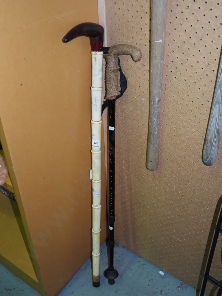 2x walking sticks Image 1++