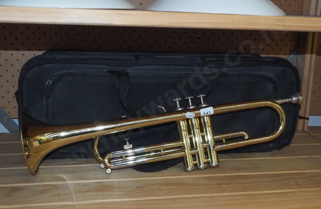 trumpet and carry case Image 1++