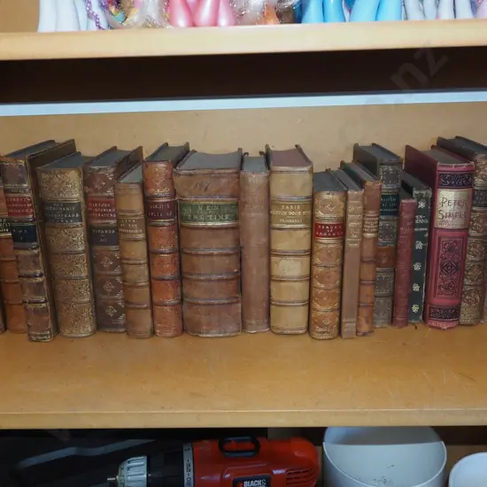 shelf; vintage leather bound books