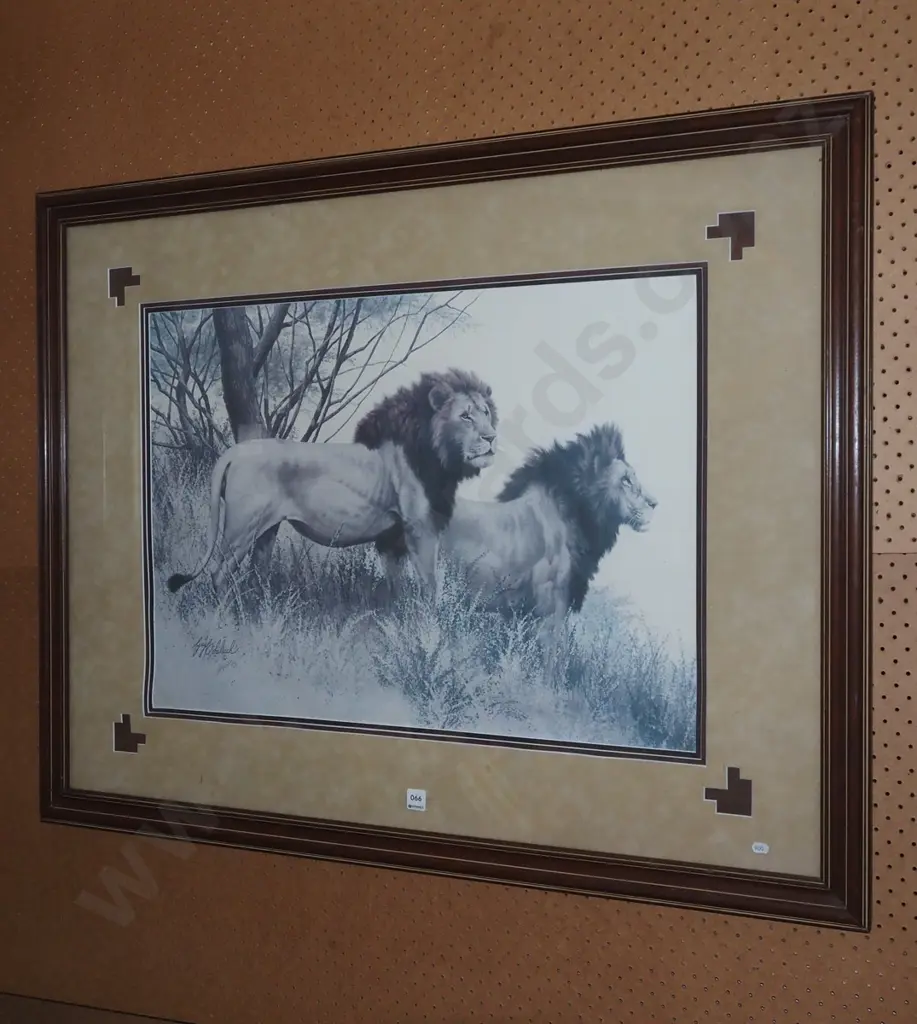 framed print - lions Image 1++