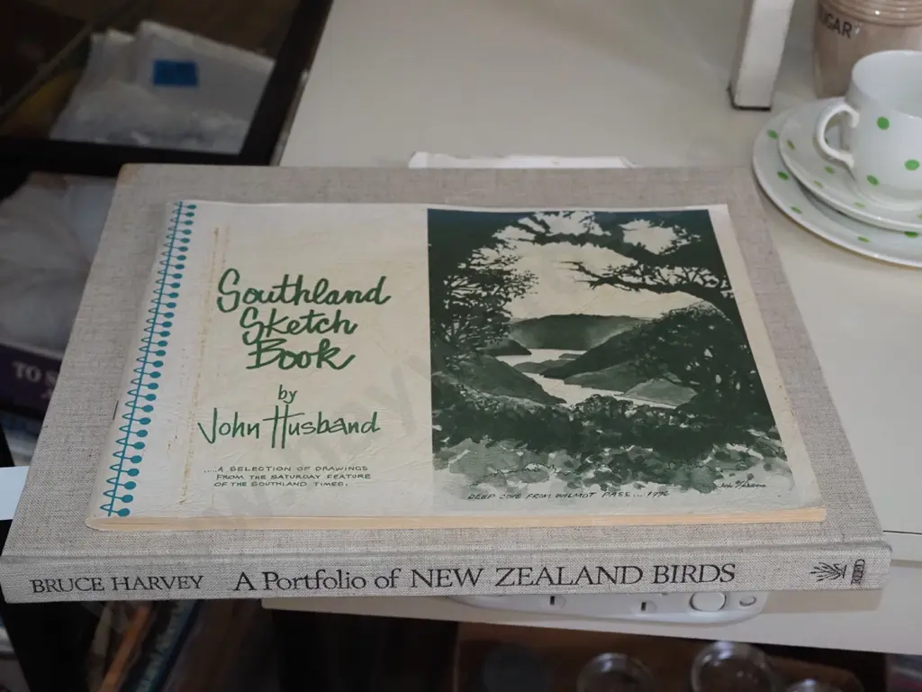 2x NZ art books Image 1++