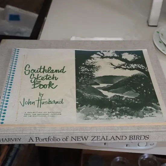 2x NZ art books