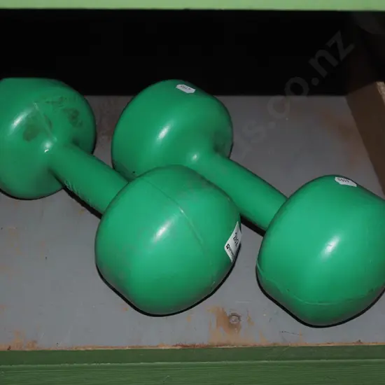 pair of 4kg hand weights