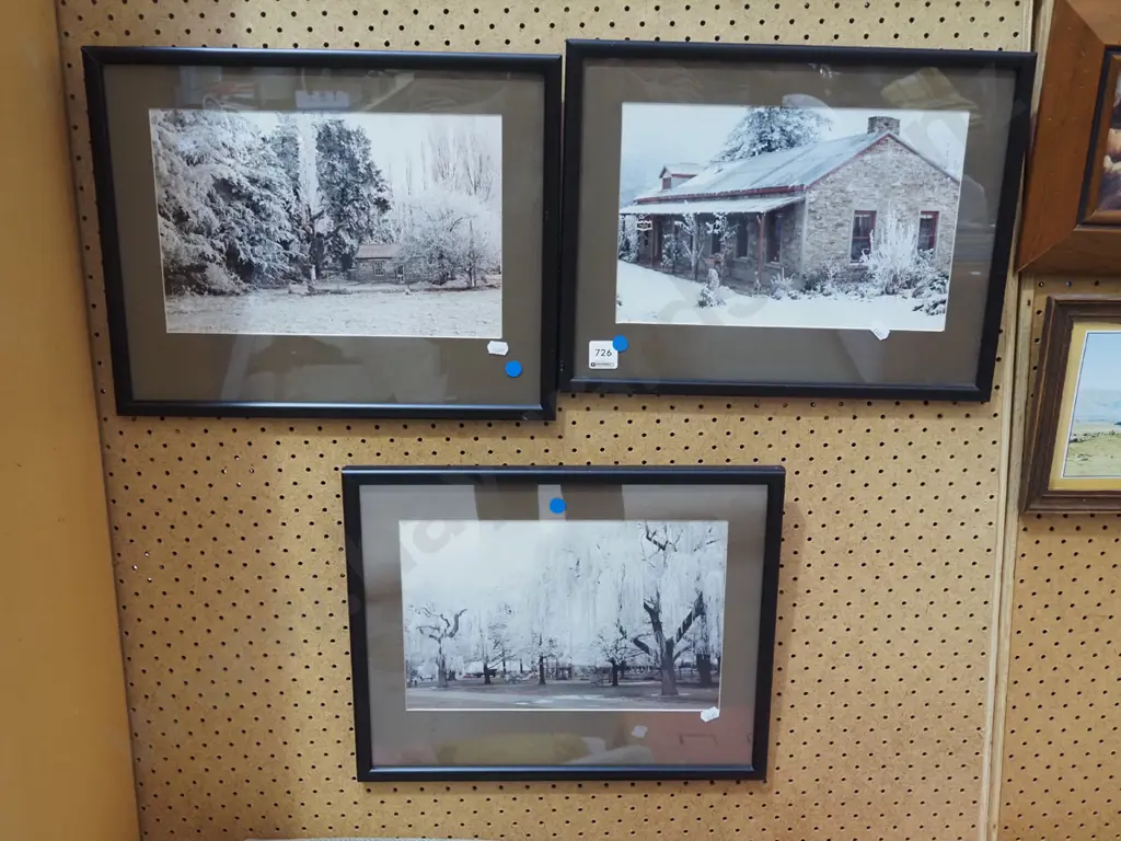 3x framed photo prints - haw frost - blue dots Image 1++