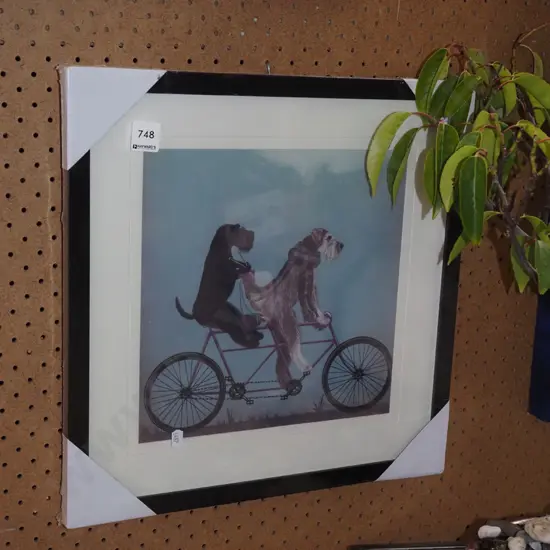 new print - dogs on bike