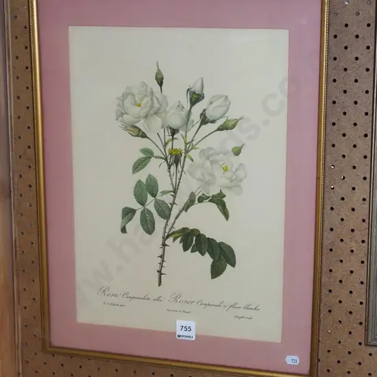 framed print - white roses