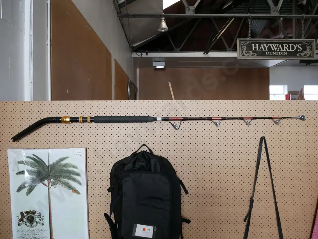 Kilwell Fishing Rod (37kg) Image 1++