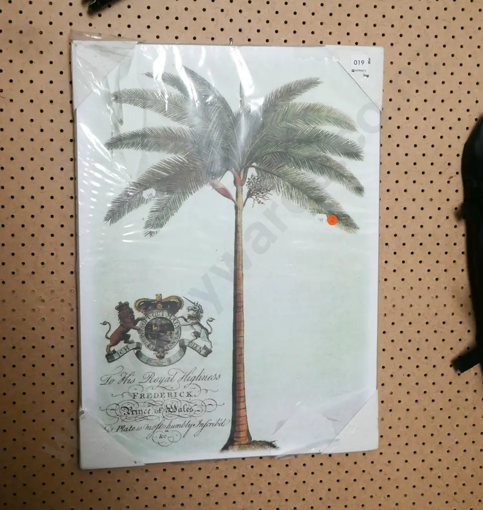 Canvas Print - Print of Palm Tree Image 1++