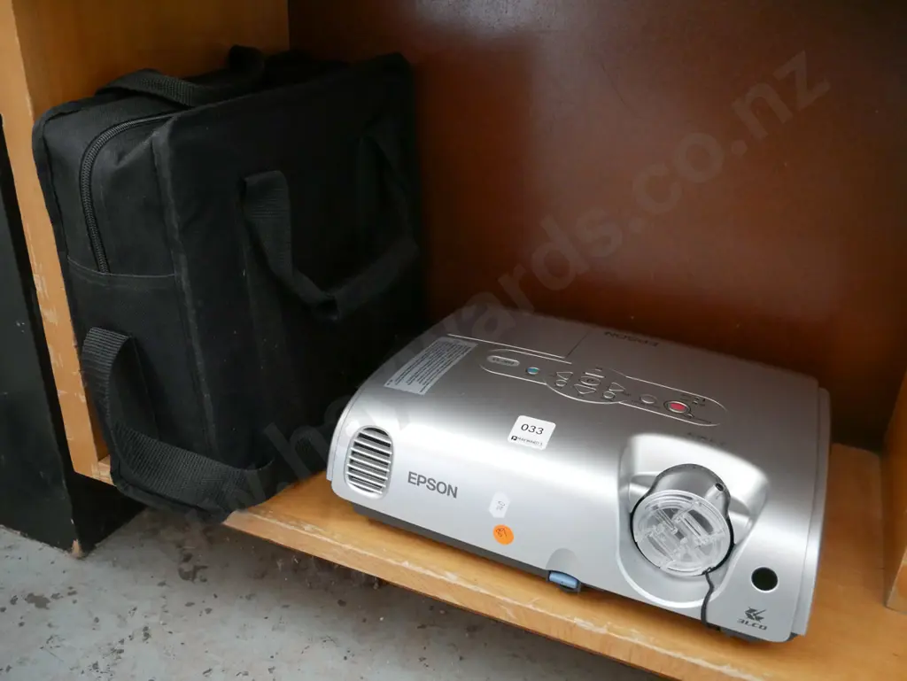 Bagged Epsom Projector Image 1++