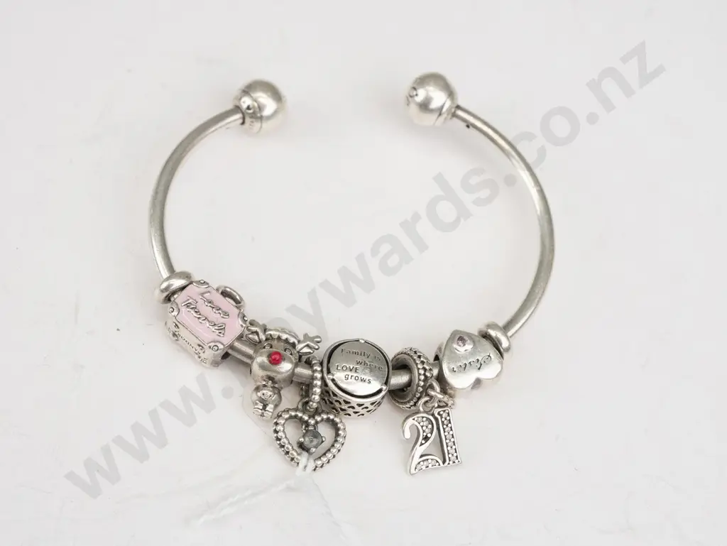 Pandora Bangle with 6 charms Image 1++