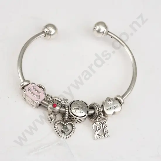 Pandora Bangle with 6 charms
