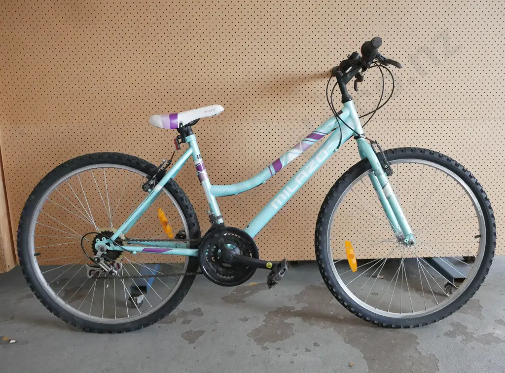Milaso, teal & purple ladies bike Image 1++