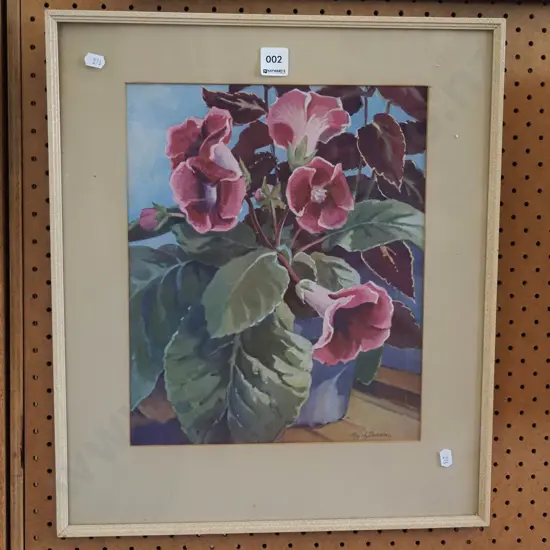framed print - Roy Dickison - pot plant