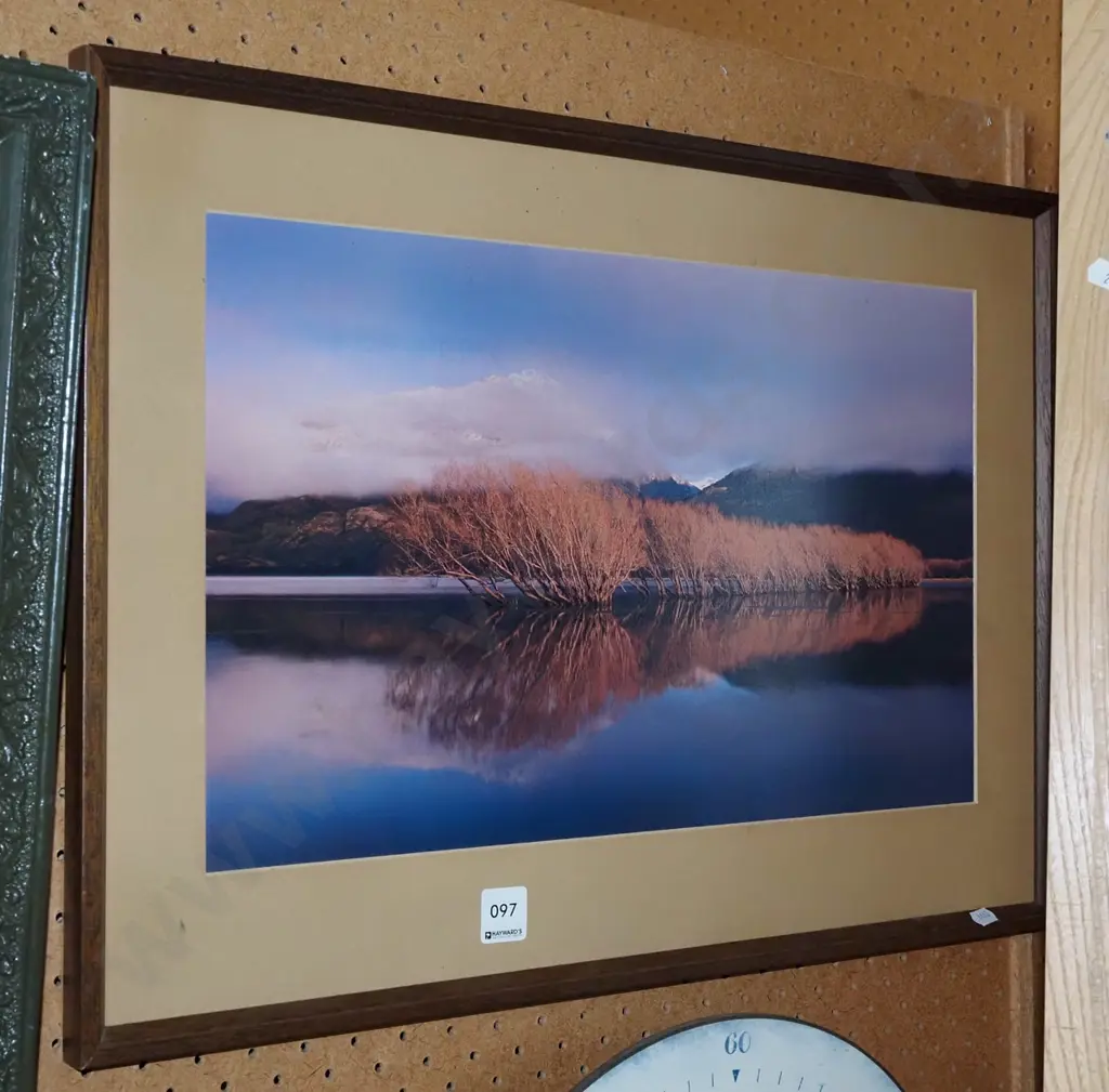 framed photo print - willows in lake Image 1++
