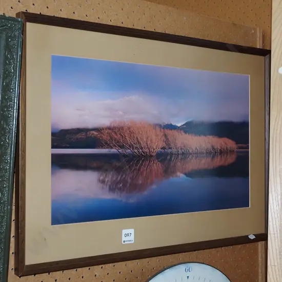 framed photo print - willows in lake