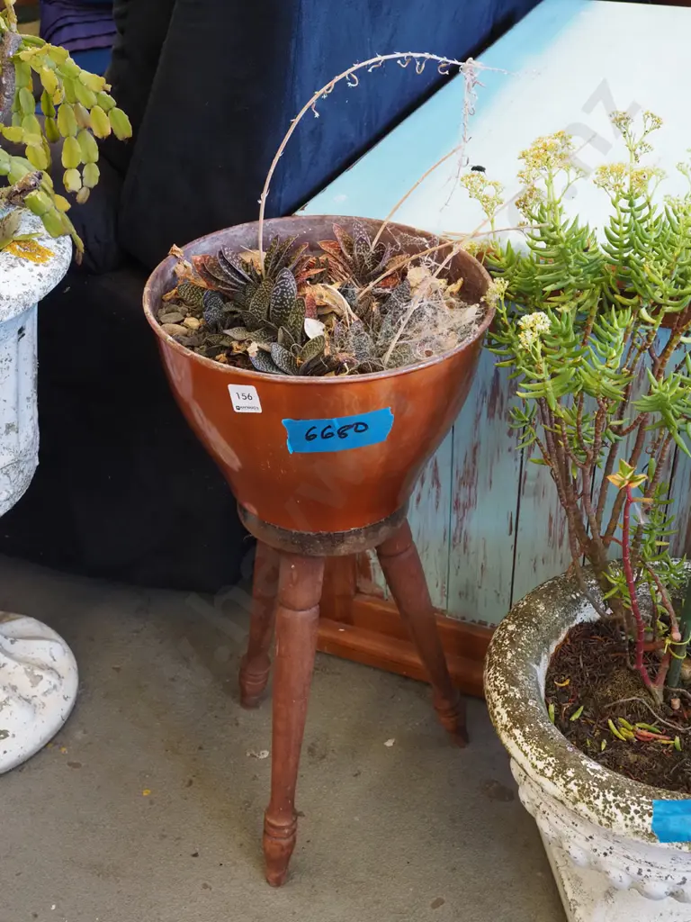 succulent in spun aluminium jardiniere on turned leg wooden stool Image 1++