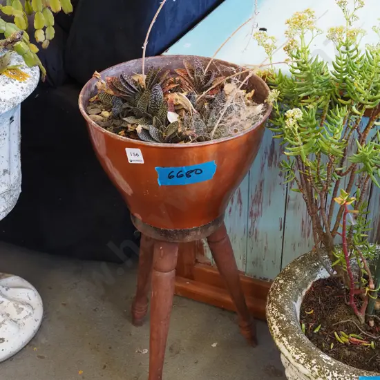 succulent in spun aluminium jardiniere on turned leg wooden stool