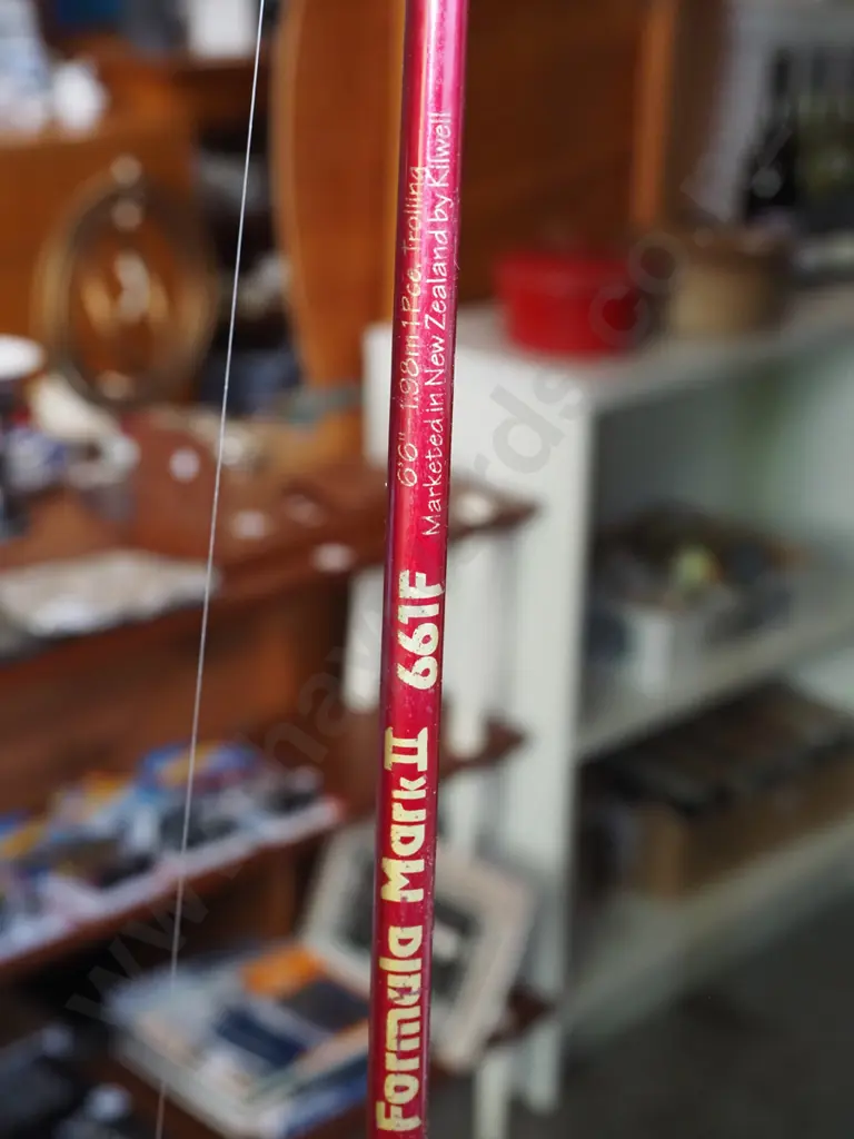 fishing rod and reel Image 1++