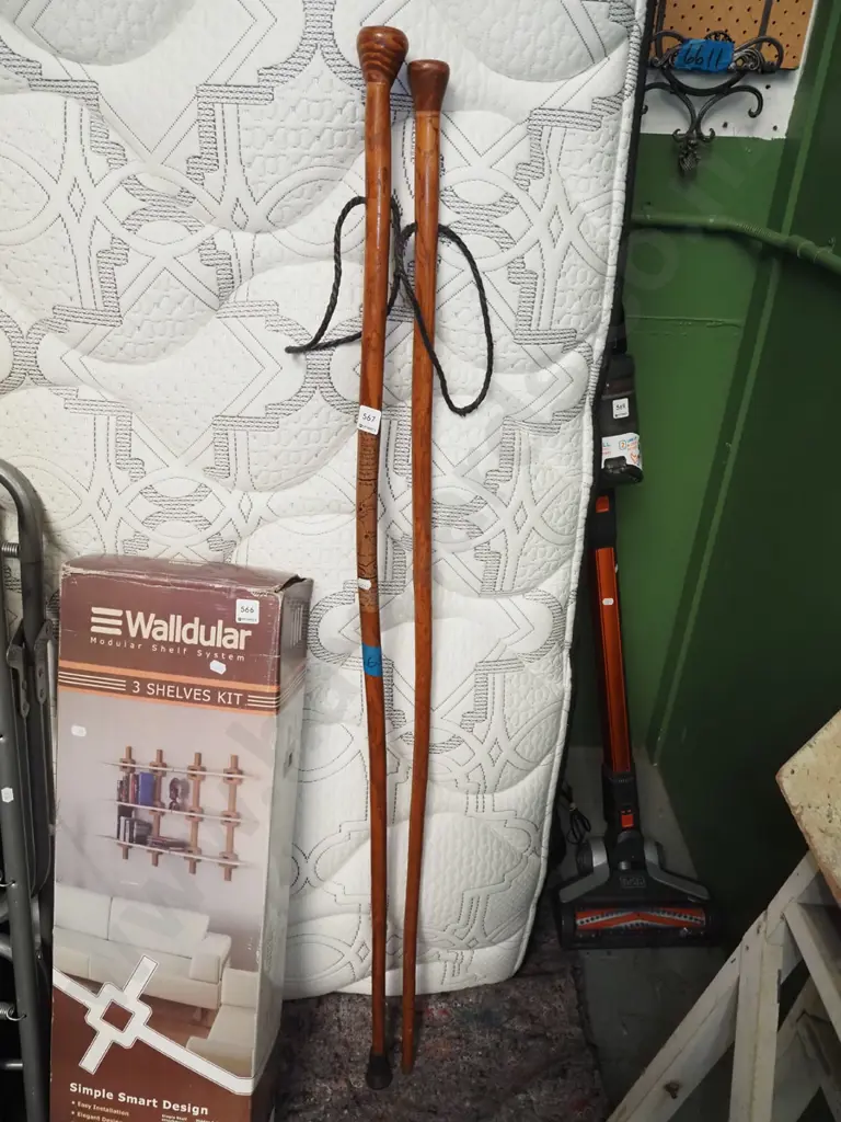 2x walking sticks Image 1++