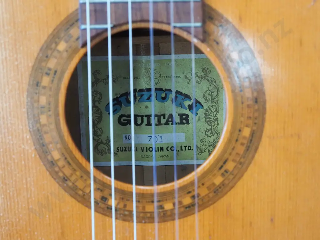 Suzuki guitar and case Image 1++