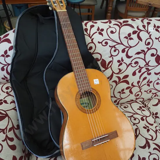 Suzuki guitar and case