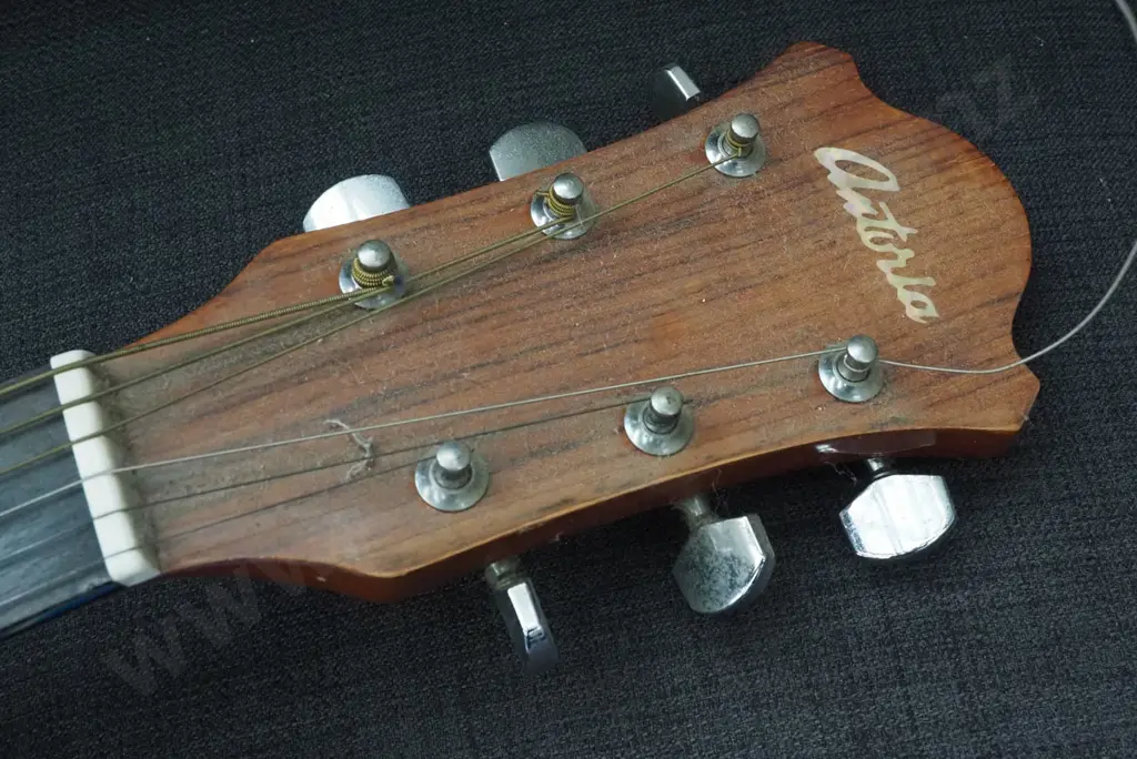 Antoria acoustic guitar Image 1++