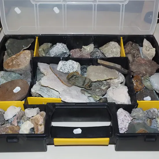 plastic organiser of gemstones